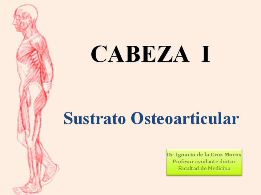 Miniatura del documento Tema 5 Cabeza I.pdf