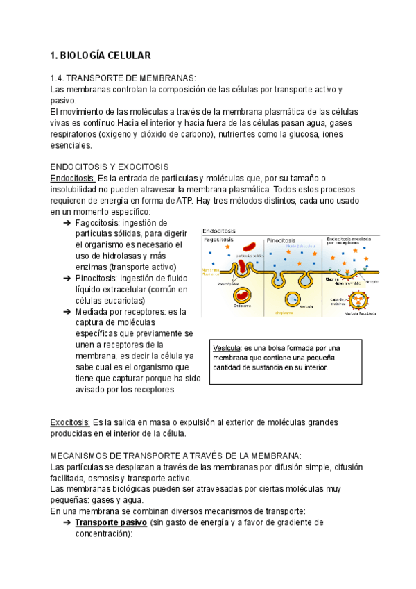 Miniatura del documento BIOLOGIA-CELULAR.pdf