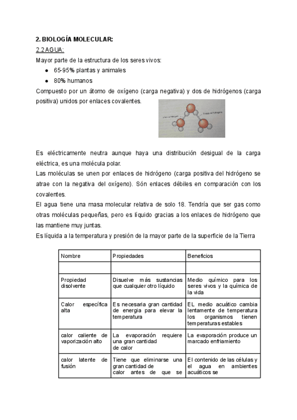 Miniatura del documento BIOLOGIA-MOLECULAR-1.pdf
