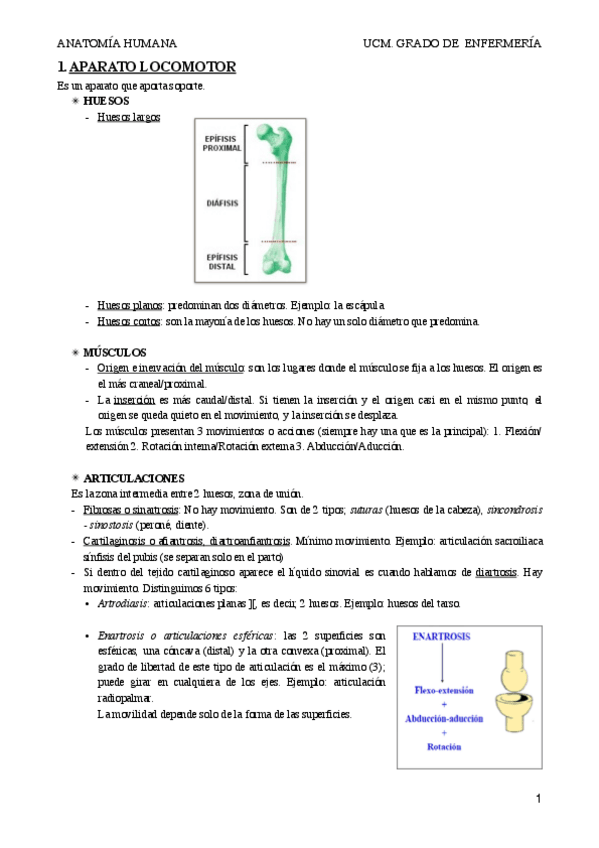 Miniatura del documento Miembro superior.pdf