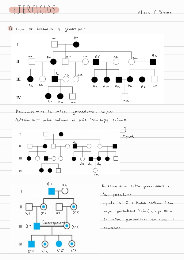 Miniatura del documento Ejercicios-genetica-todos-1.pdf