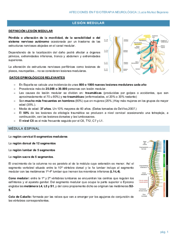 Miniatura del documento T3.pdf