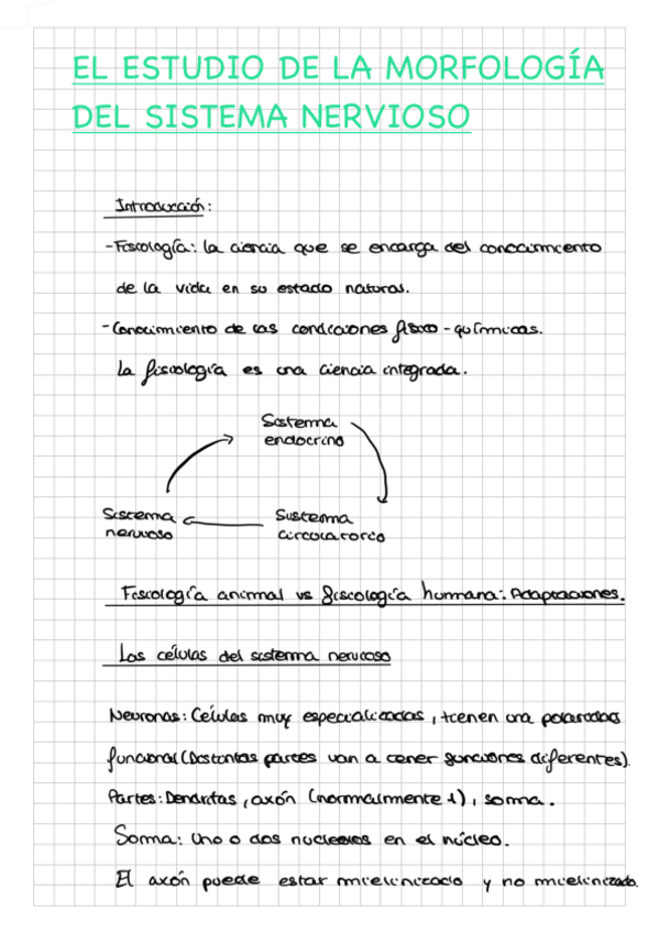 Miniatura del documento Fisiologia-animal.pdf