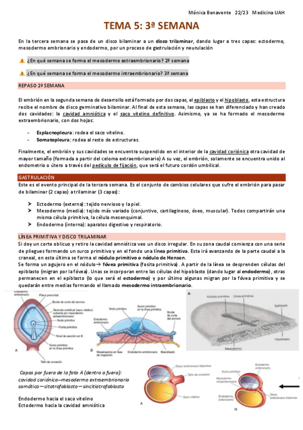 Miniatura del documento TEMA-5-3a-semana.pdf