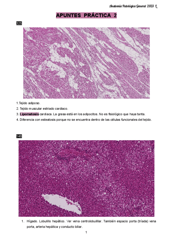 Miniatura del documento APUNTES-APG-PRACTICA-2.pdf