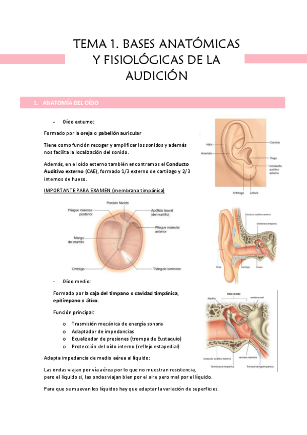 Miniatura del documento TEMA-1.pdf