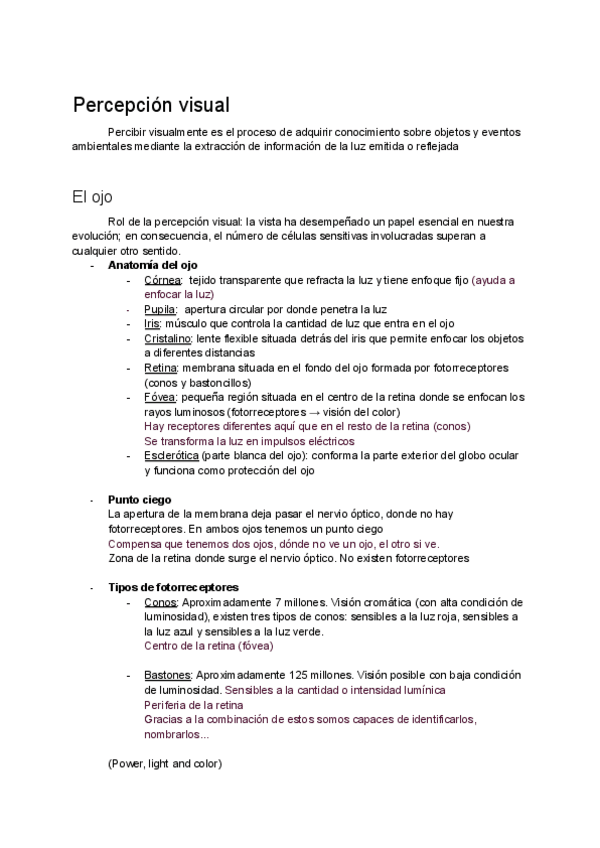 Miniatura del documento Percepcion-visual.pdf