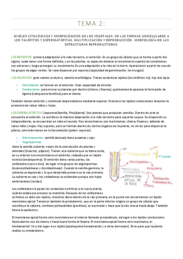 Miniatura del documento TEMA-2-BOT.pdf