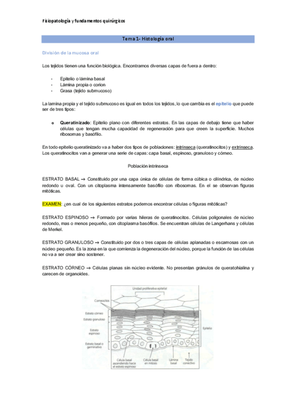 Miniatura del documento Tema-1-Histologia-oral.pdf