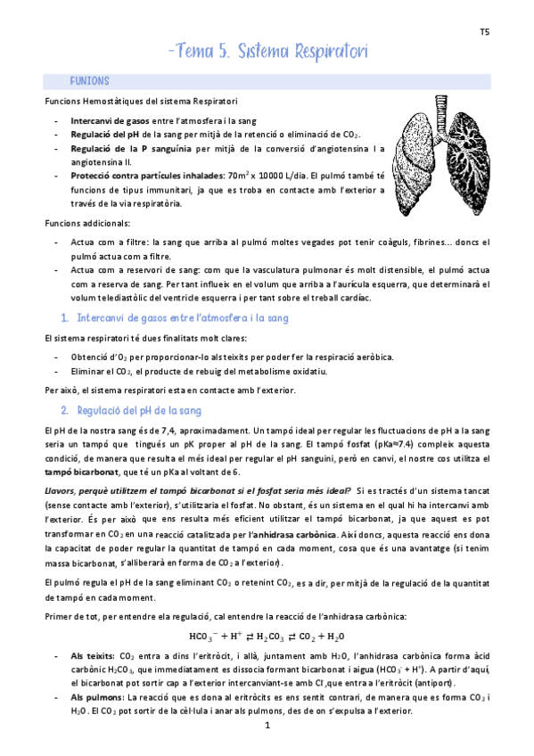 Miniatura del documento Tema-5.-Sisitema-Respiratori.pdf