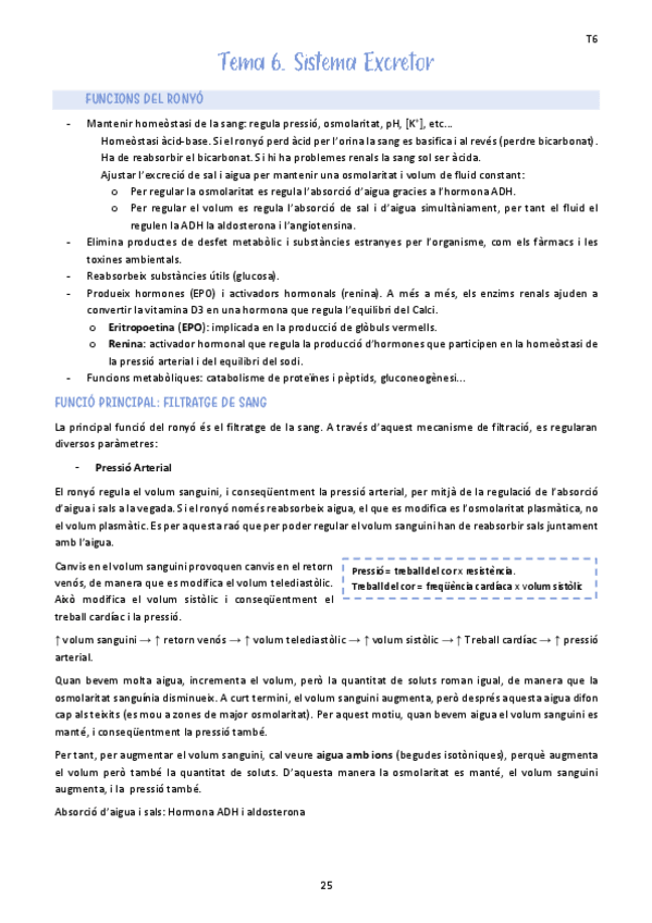 Miniatura del documento Tema-6.-Sistema-Excretor.pdf