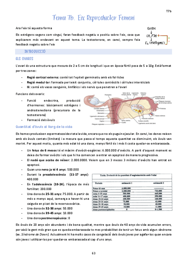 Miniatura del documento Tema-7b.-Eix-Reproductor-Femeni.pdf