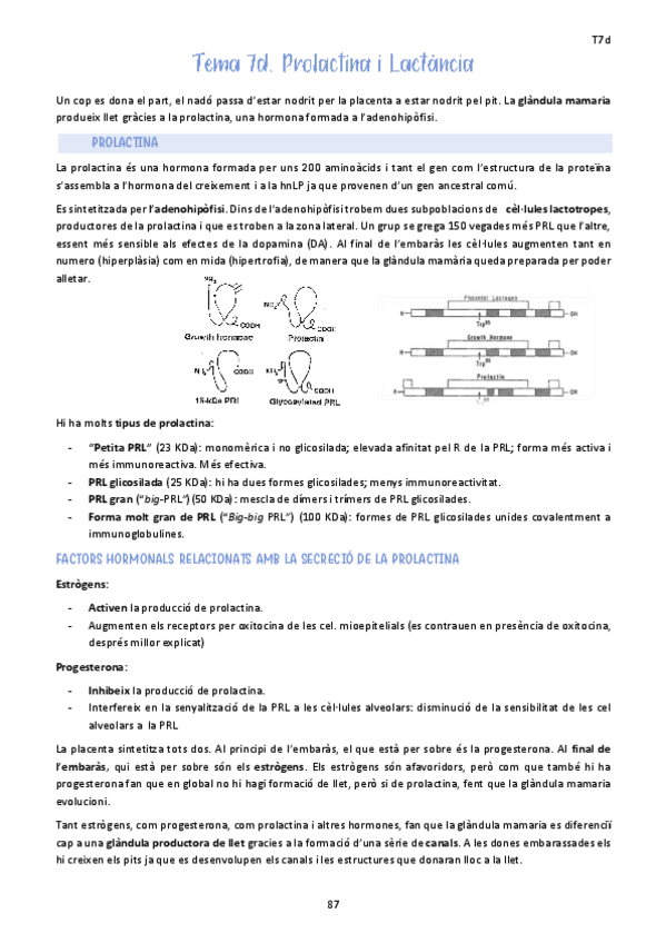 Miniatura del documento Tema-7d.-Prolactina-i-Lactancia.pdf