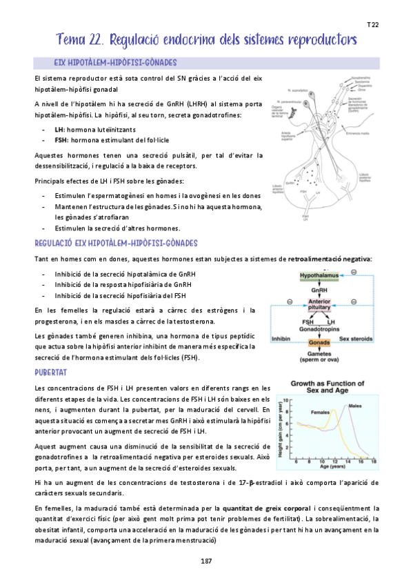 Miniatura del documento Tema-22.-Regulacio-endocrina-dels-sistemes-reproductors.pdf