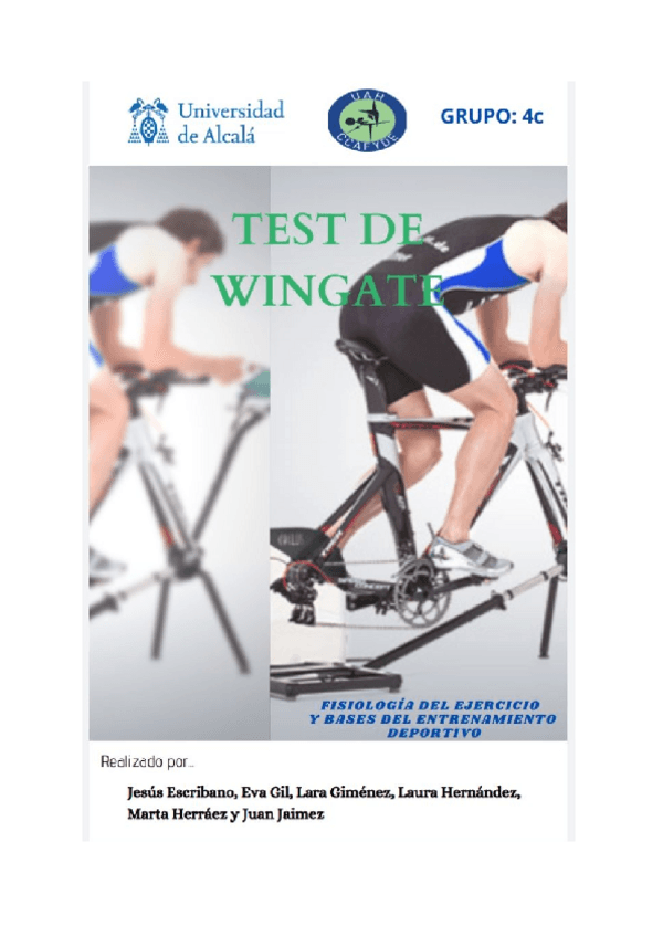 Miniatura del documento TEST-DE-WINGATE.pdf
