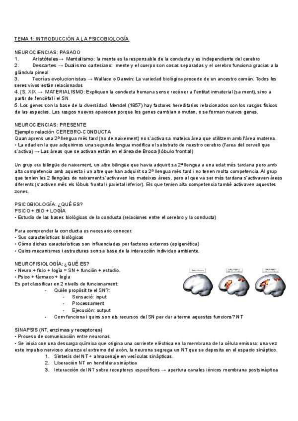 Miniatura del documento 1r-parcial.pdf