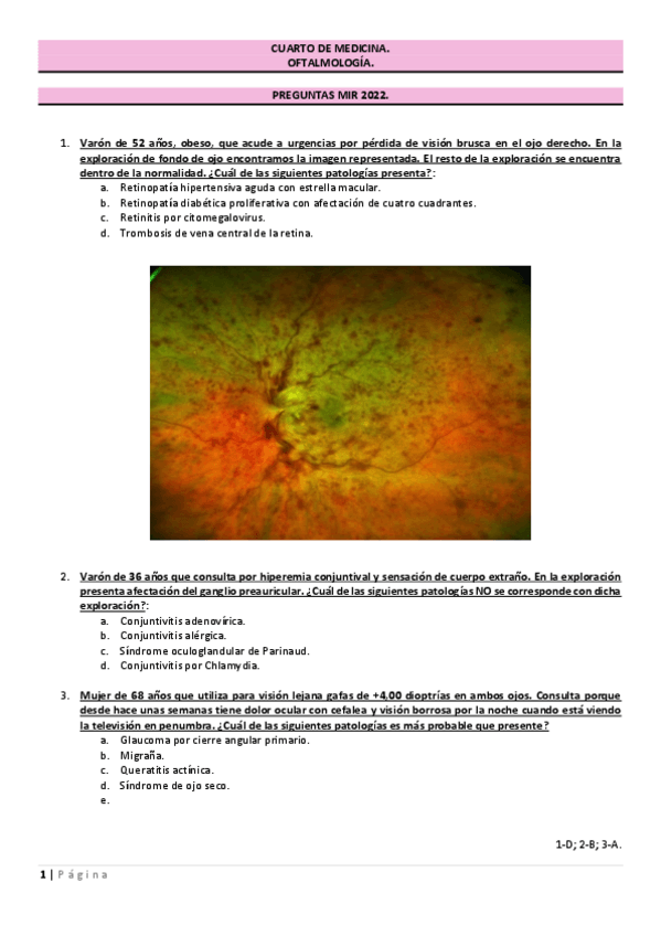 Miniatura del documento MIR-2022.pdf