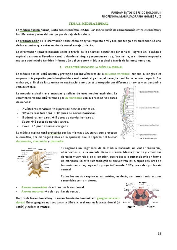 Miniatura del documento TEMA-3-PSICOBIOLOGIA-II.pdf