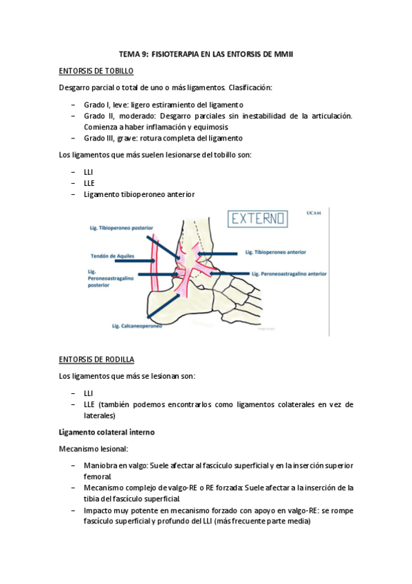 Miniatura del documento T9-ENTORSIS.pdf
