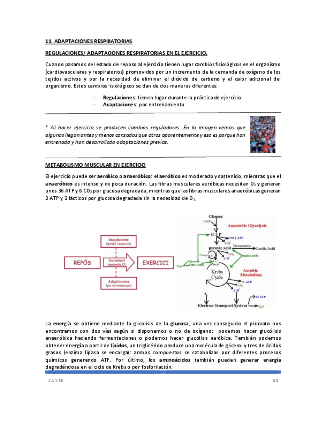 Miniatura del documento FisiologiaII-3parte-Castellano.pdf