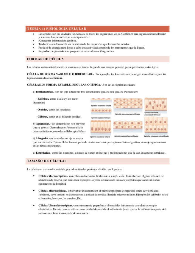 Miniatura del documento FISIOLOGIA-CELULAR.pdf