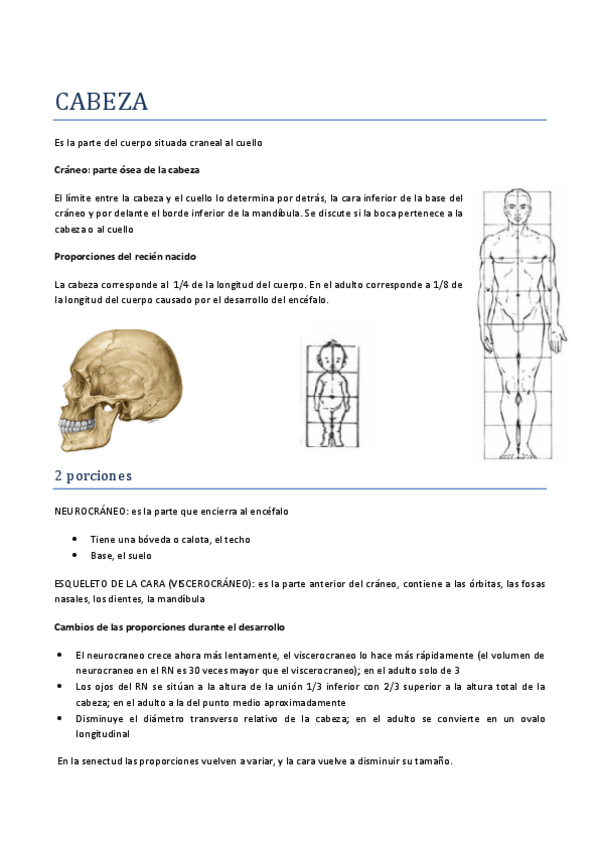 Miniatura del documento CABEZA.pdf