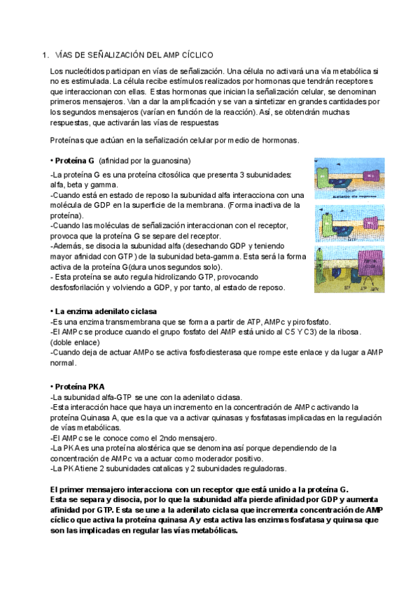 Miniatura del documento Preguntas recuperación 1Parcial.pdf