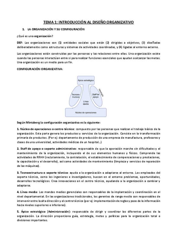 Miniatura del documento TEMA-1.pdf