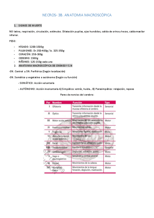 Miniatura del documento NECROS-RESUMEN.pdf