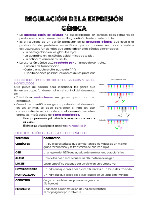 Miniatura del documento TEMA-3.pdf
