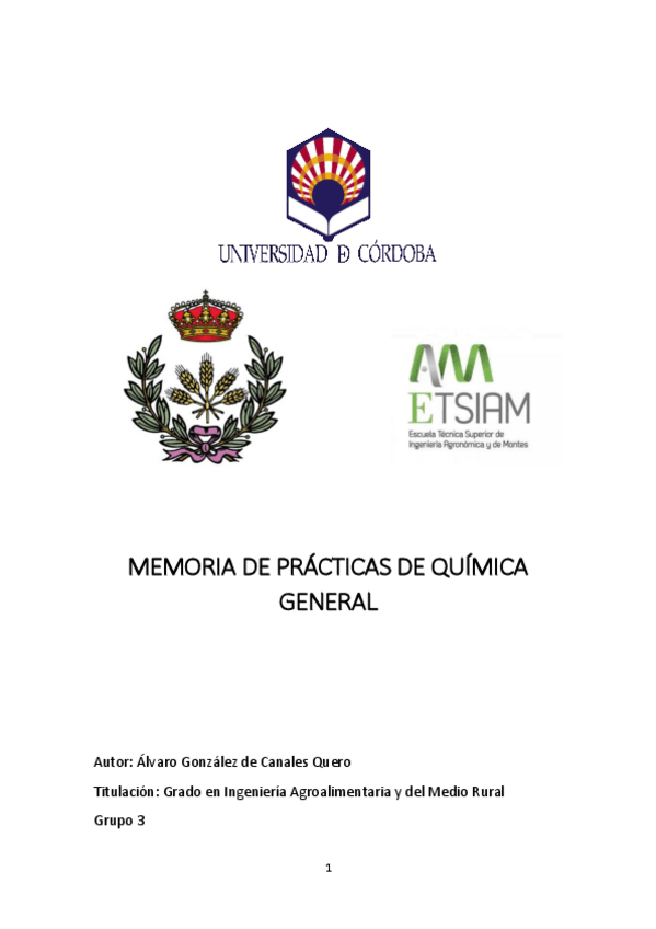 Miniatura del documento MEMORIA-DE-PRACTICAS-DE-QUIMICA-GENERAL.pdf