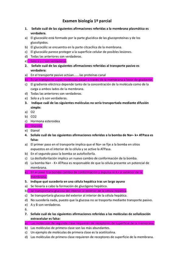 Miniatura del documento IMG1172.jpg