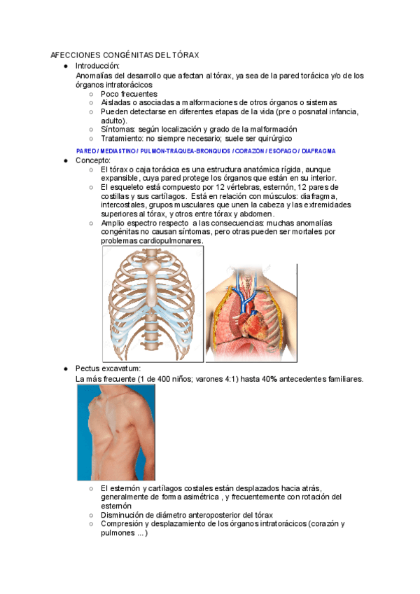 Miniatura del documento Tema-8.pdf