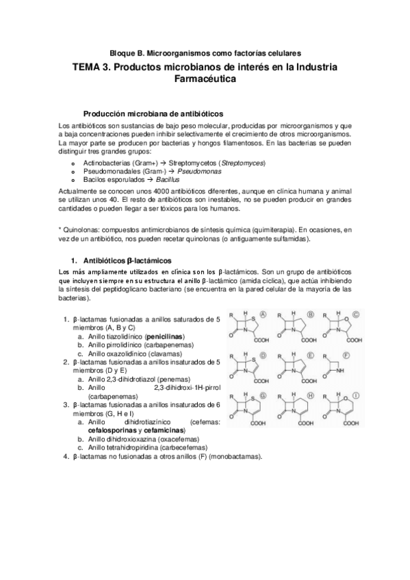 Miniatura del documento Bloque-B.pdf