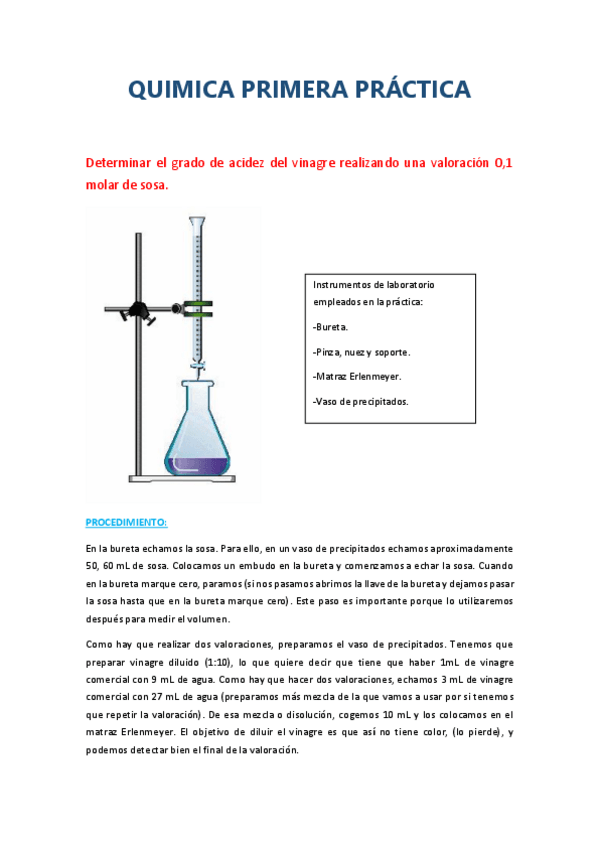 Miniatura del documento QUIMICA-PRACTICA-1.pdf