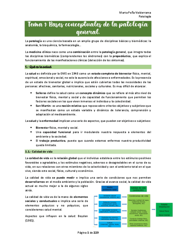 Miniatura del documento apuntes-1.pdf