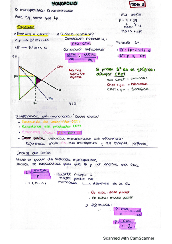 Miniatura del documento Resumen-TEMA-2.pdf