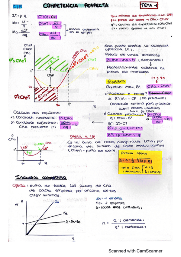 Miniatura del documento Resumen-TEMA-1.pdf