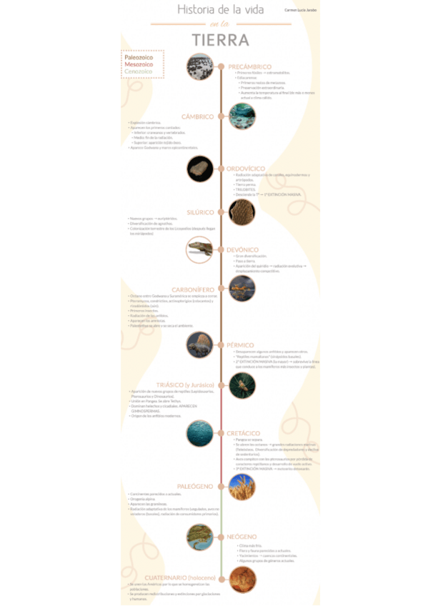 Miniatura del documento Esquema-historia-de-la-vida-en-la-Tierra.pdf