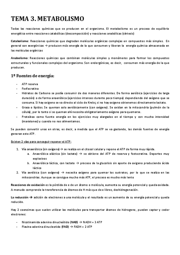 Miniatura del documento TEMA 3.pdf