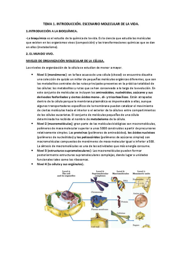 Miniatura del documento Temario Bioquimica.pdf
