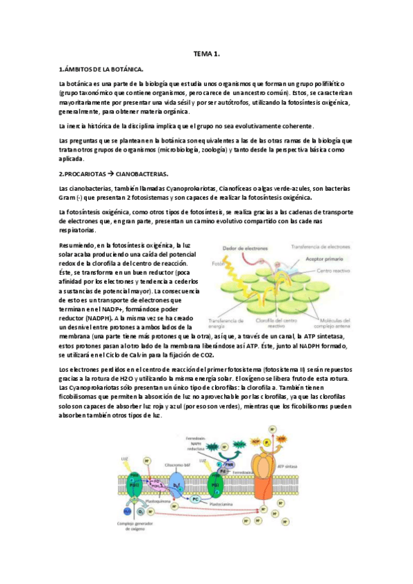 Miniatura del documento Temario Botánica.pdf