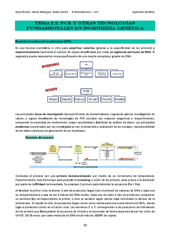 Miniatura del documento Ingenieria-Genetica-tema-2.2.pdf