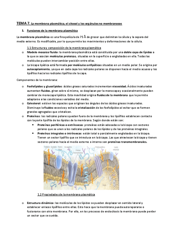 Miniatura del documento TEMA-7.-La-membrana-plasmatica-el-citosol-y-los-organulos-no-membranosos.pdf