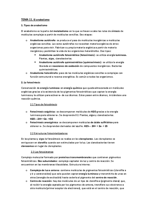 Miniatura del documento TEMA-11.-El-anabolismo.pdf