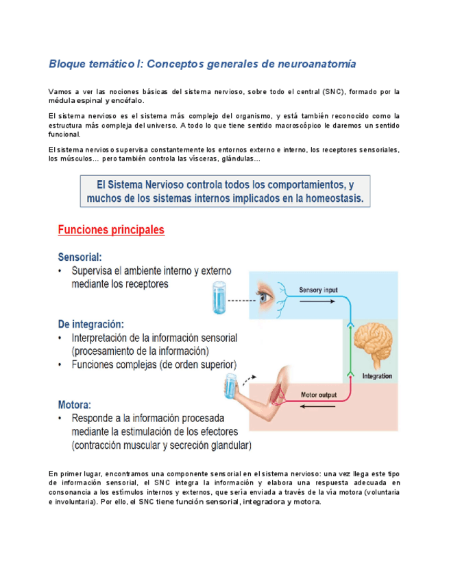 Miniatura del documento tema1-neuro.pdf