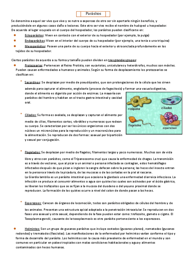 Miniatura del documento Parasitos-practico.pdf