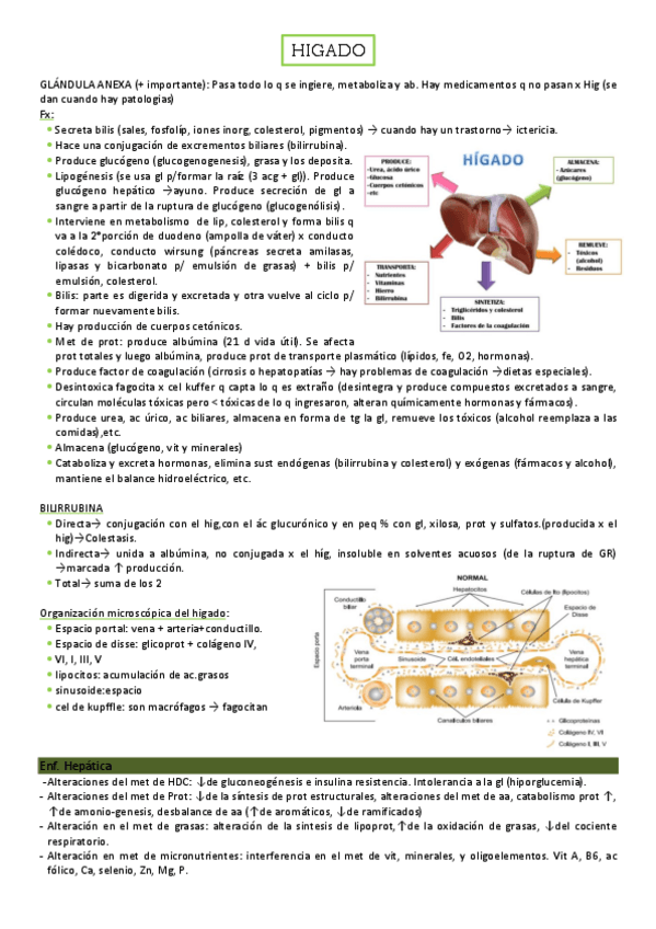 Miniatura del documento Patologias-del-higado.pdf