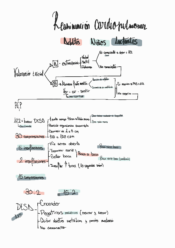 Miniatura del documento Reanimacion-cardiopulmonar230221185207.pdf