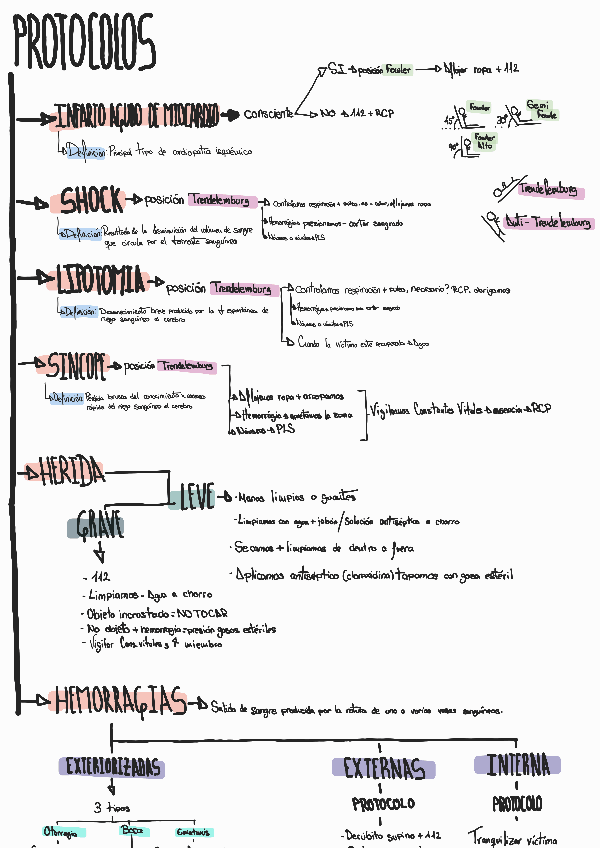 Miniatura del documento Protocolos-de-actuacion-tema-3230221190509.pdf